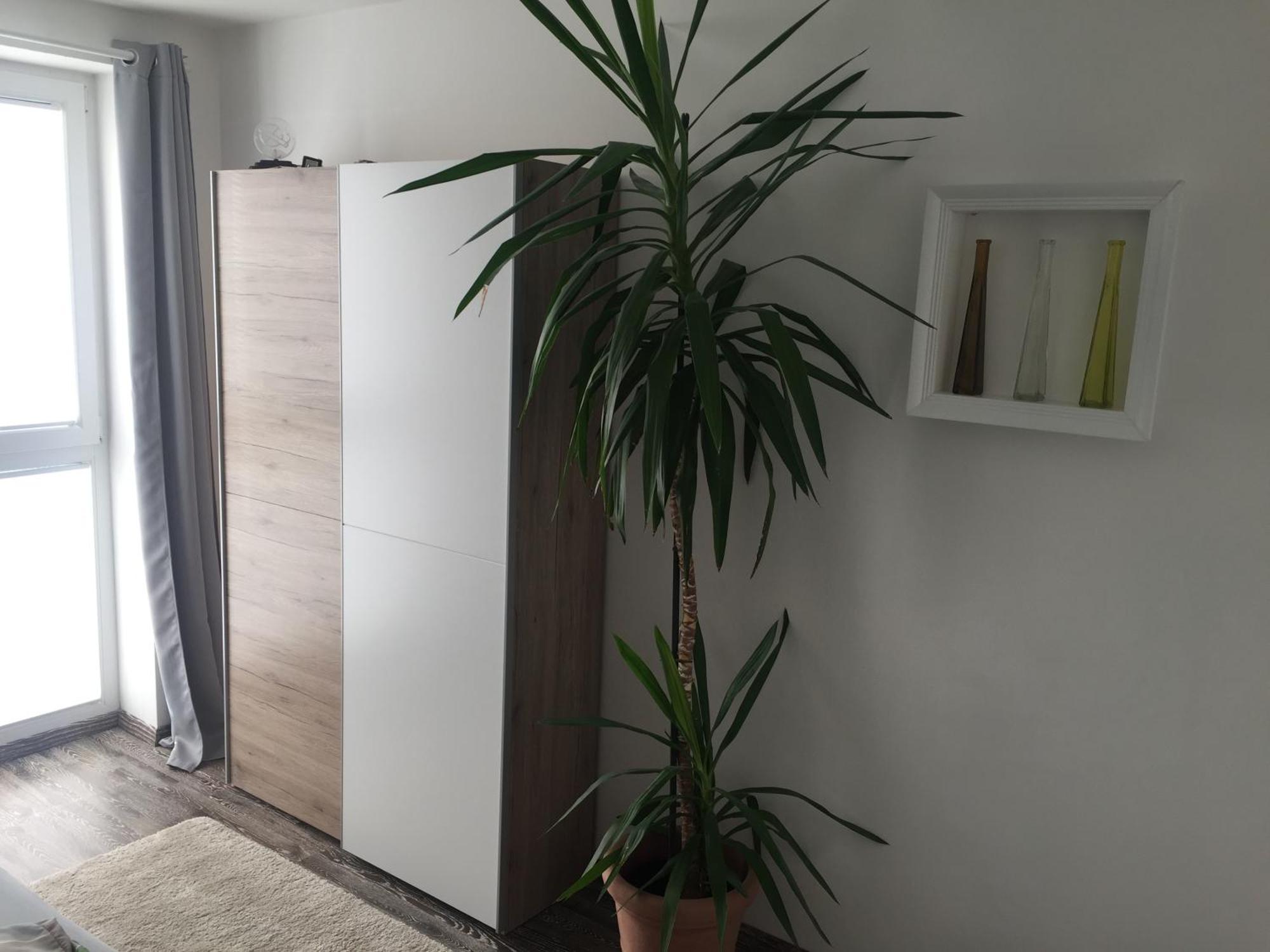 Ferienwohnungen Nahrstedt Waldeck  Bagian luar foto
